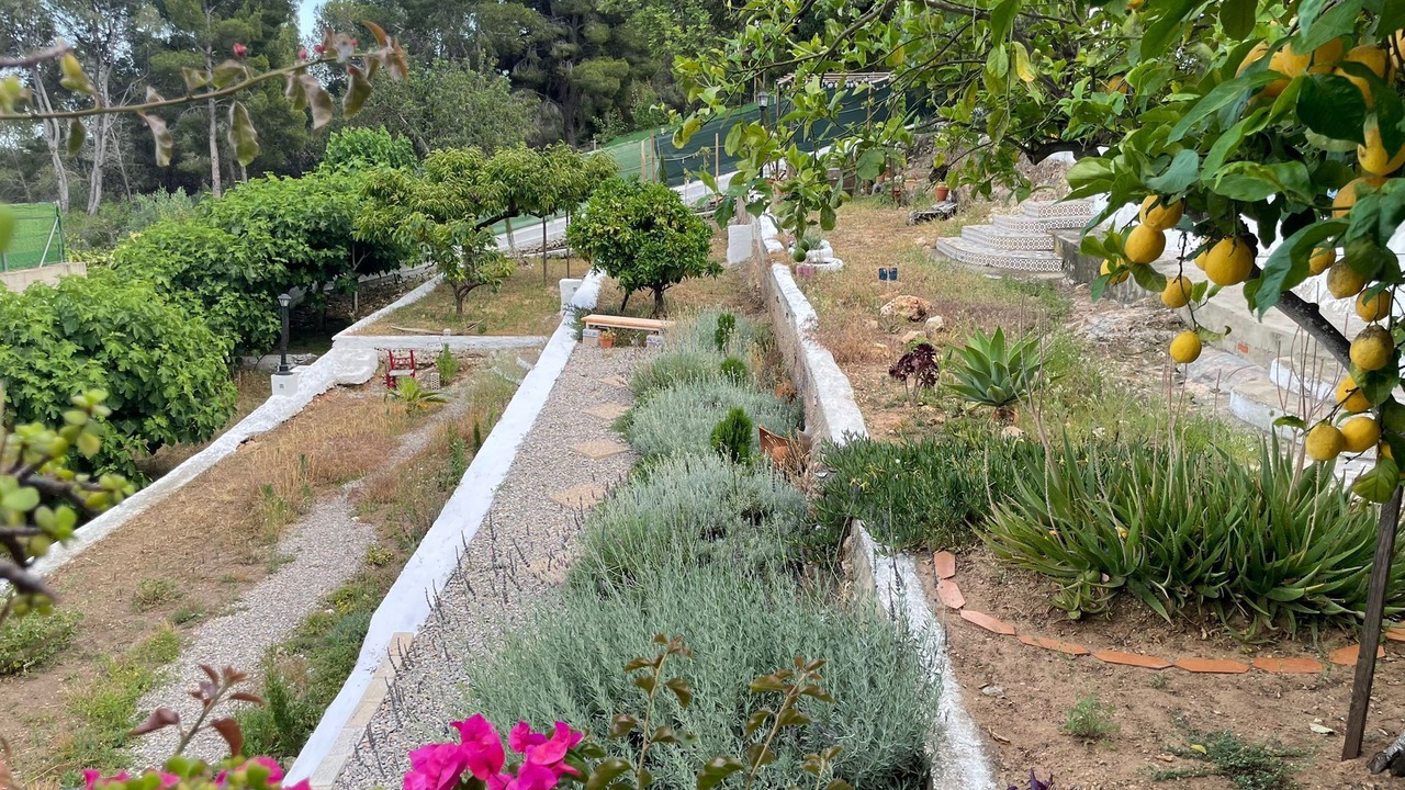 Photo of Outdoor in Carlet