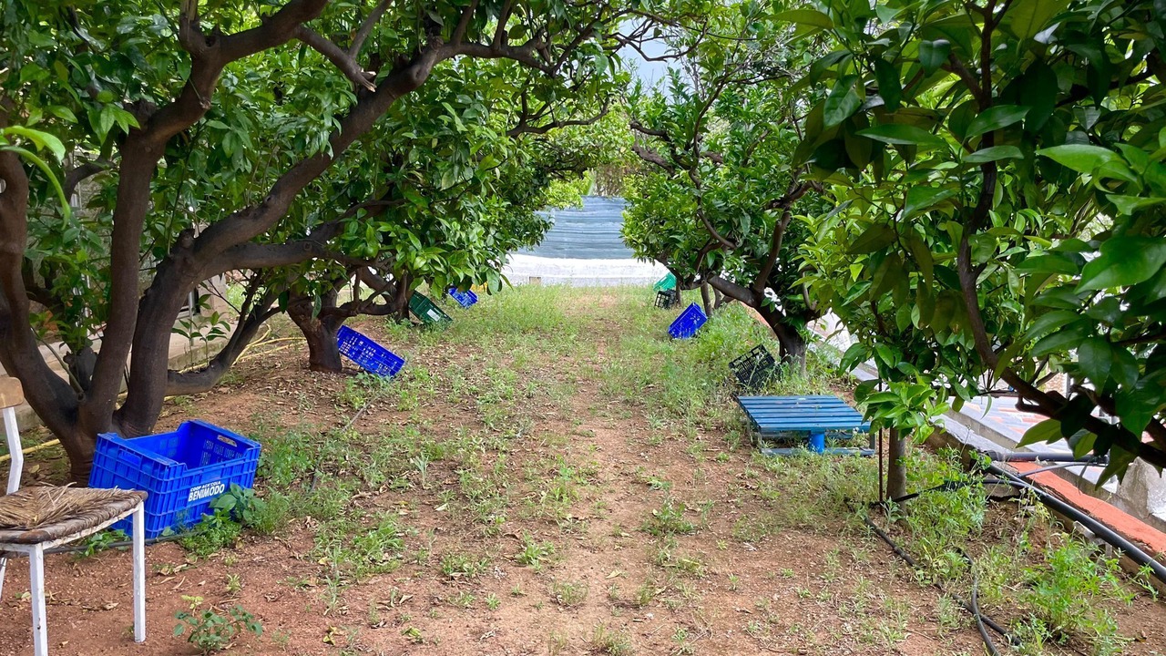 Photo of Outdoor in Carlet
