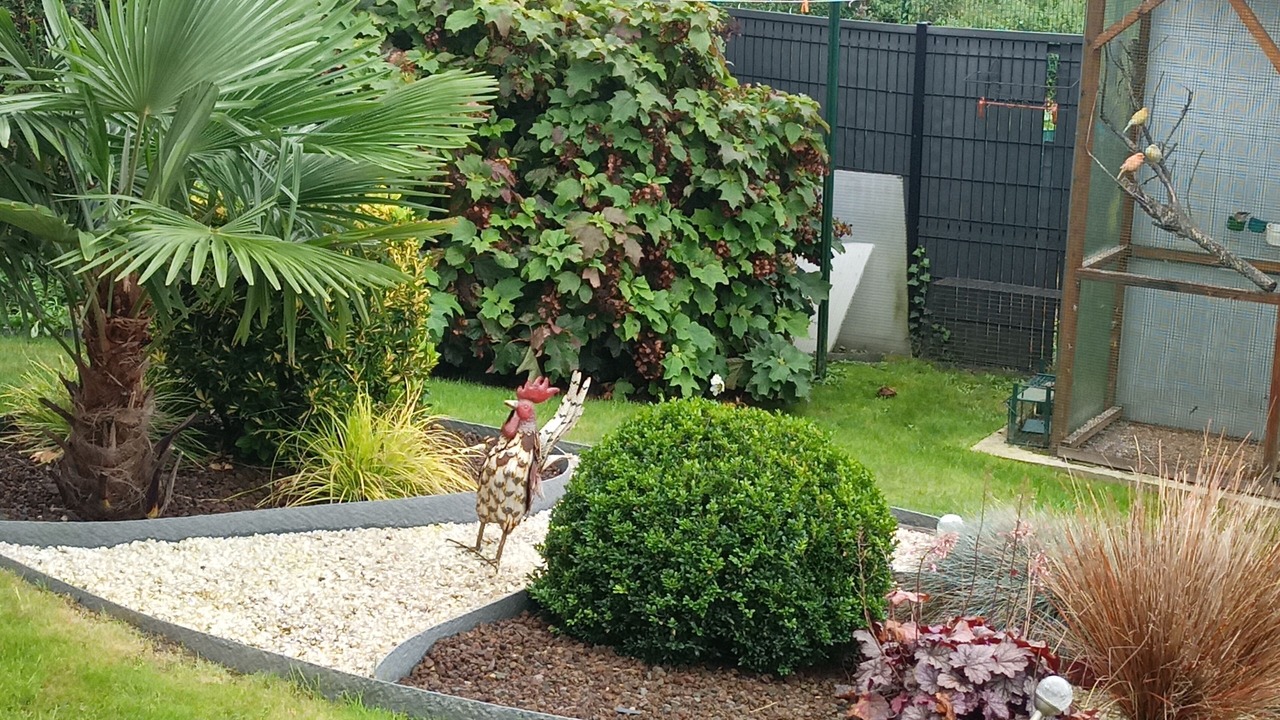 Photo of Outdoor in Lillers