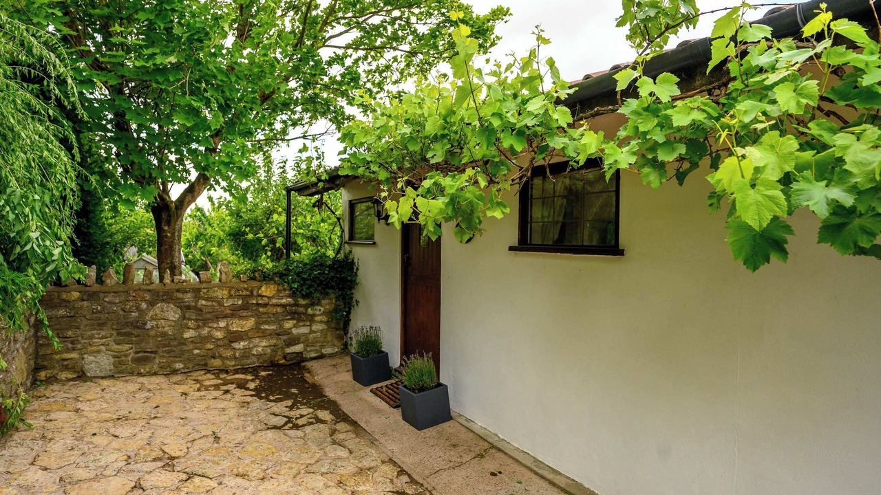 Photo of Outdoor in Staple Hill