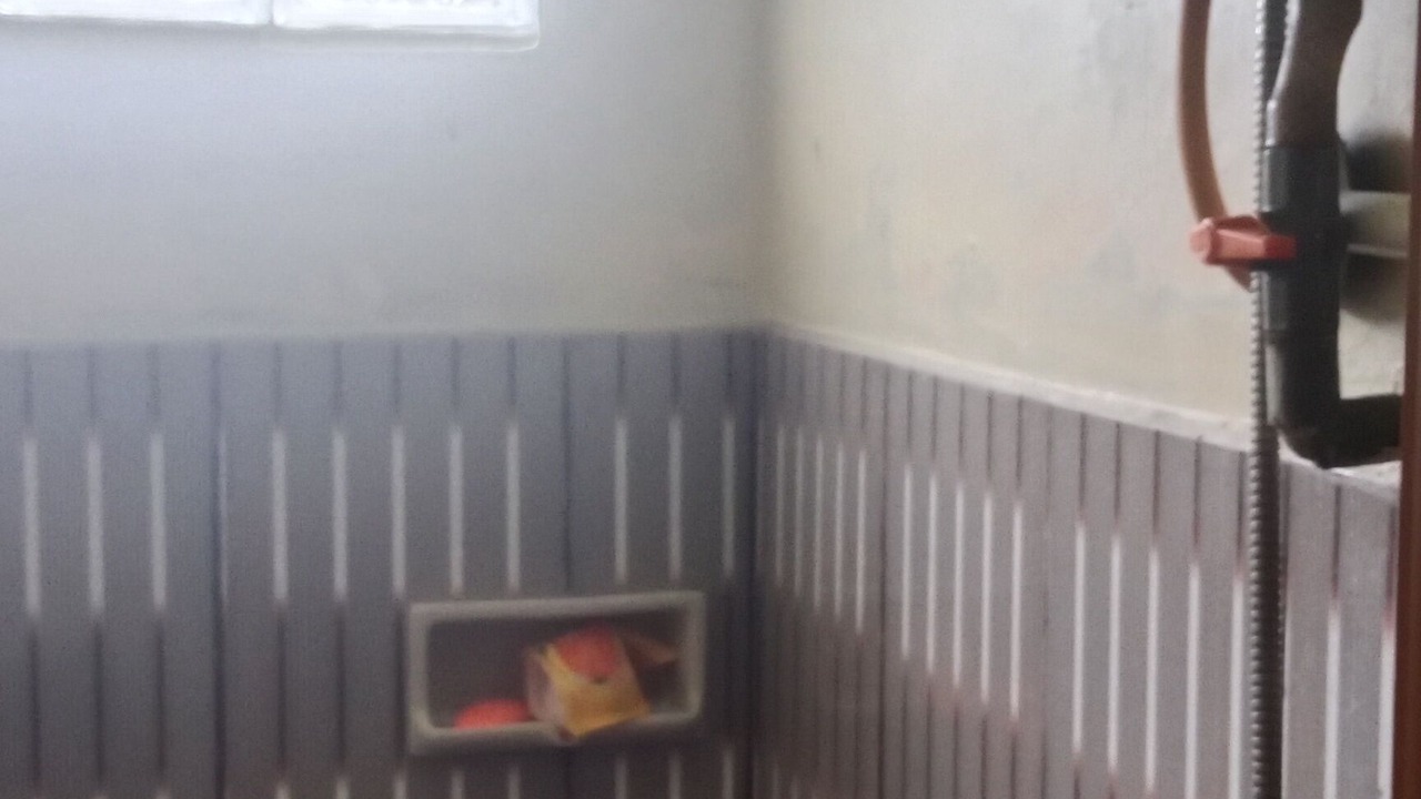 Photo of Bathroom in Dieng