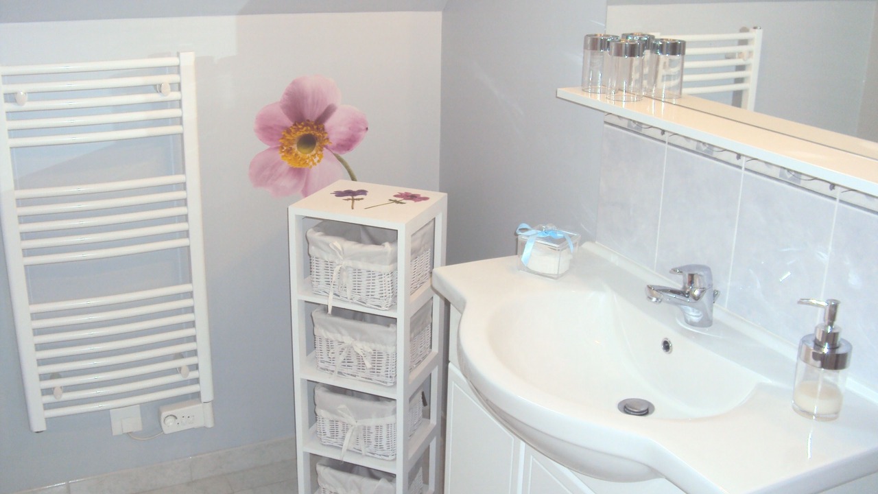 Photo of Bathroom in Cere-la-Ronde