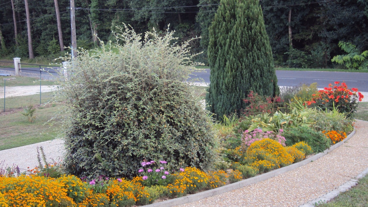 Photo of Outdoor in Cere-la-Ronde