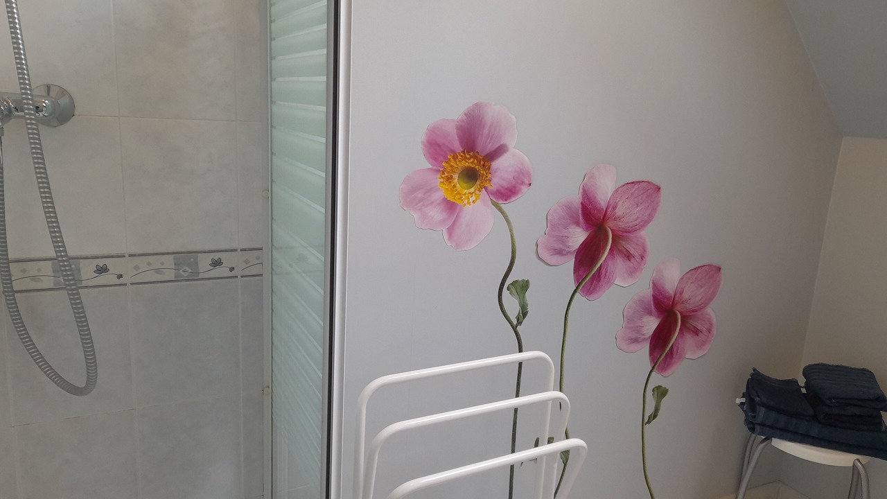Photo of Bathroom in Cere-la-Ronde
