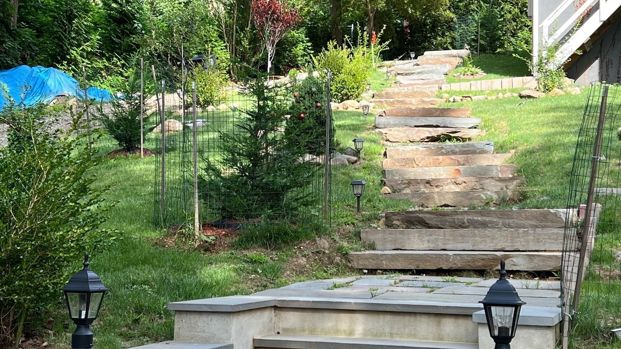 Photo of Others in Greenville
