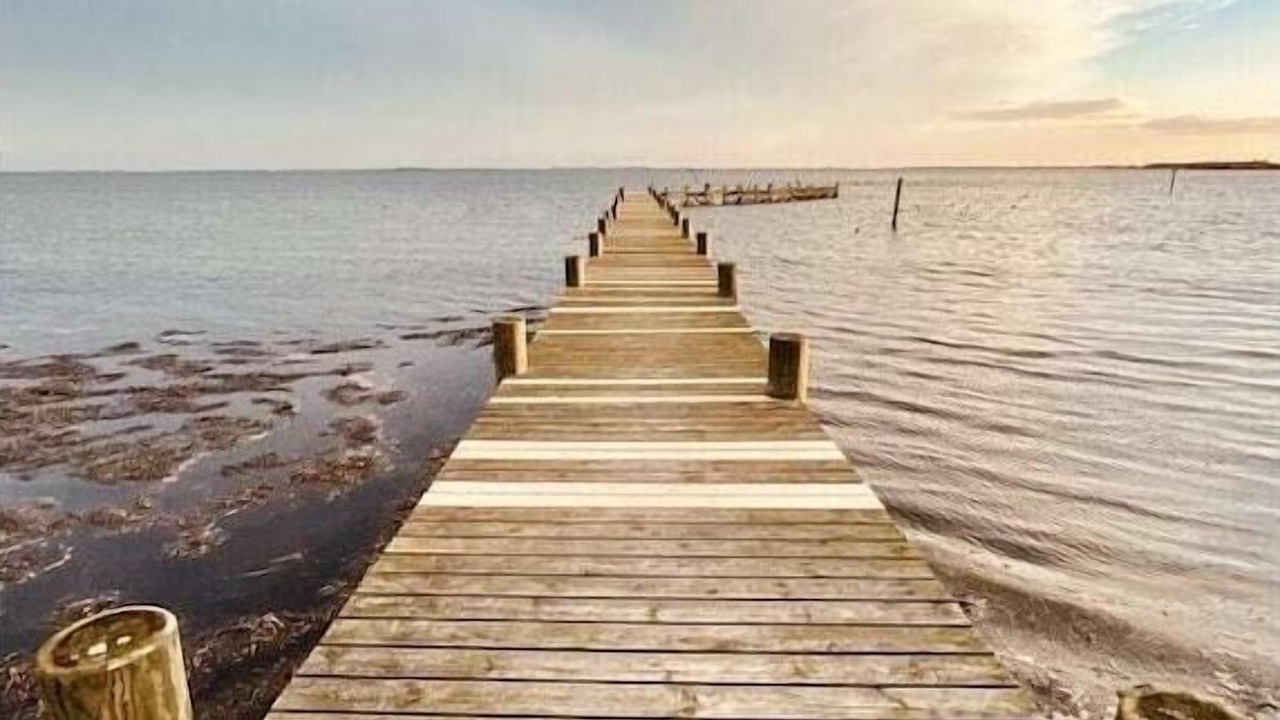 Photo of Others in Fej