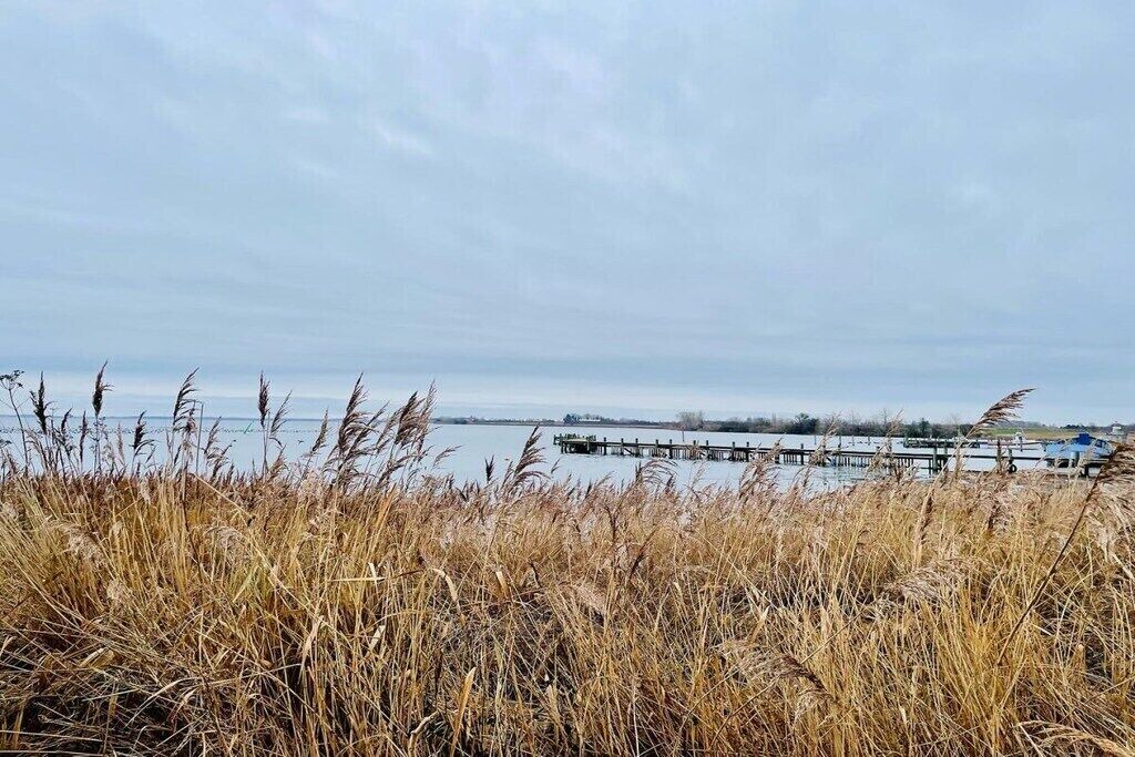 Photo of Others in Fej