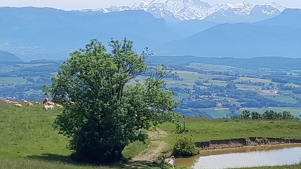 Photo of Others in Droisy