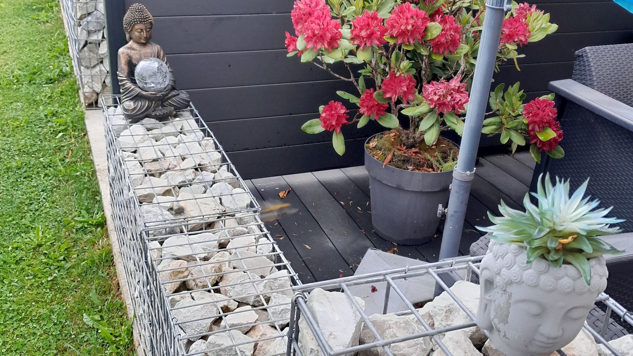 Photo of Outdoor in Droisy