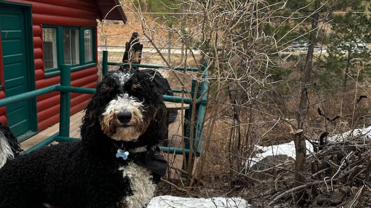 Photo of Outdoor in Deadwood