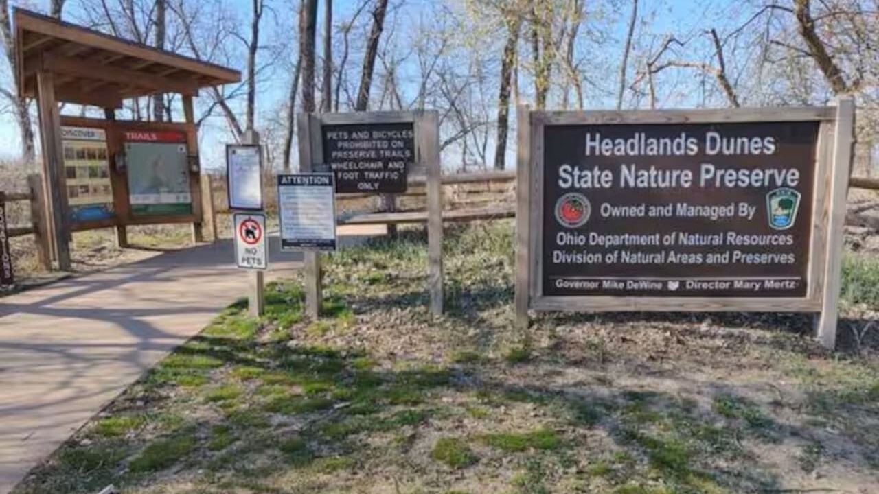 Photo of Others in Mentor Headlands