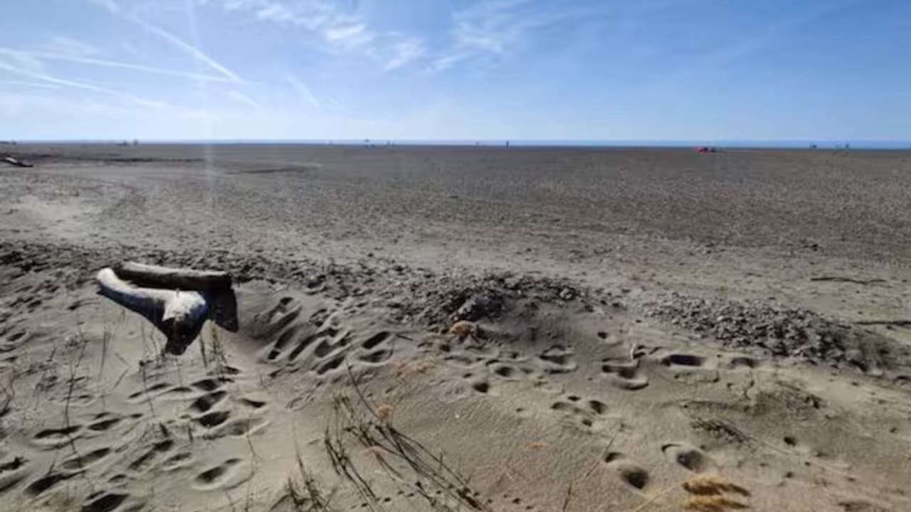 Photo of Others in Mentor Headlands