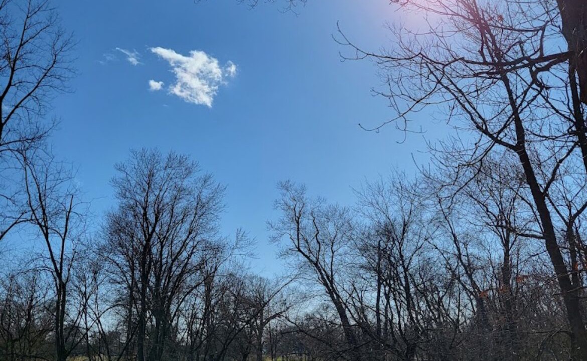 Photo of Others in Chicago