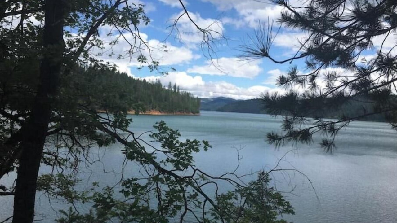 Photo of Others in Trinity County