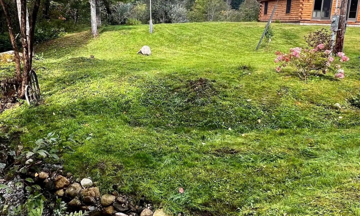 Photo of Outdoor in East Haven