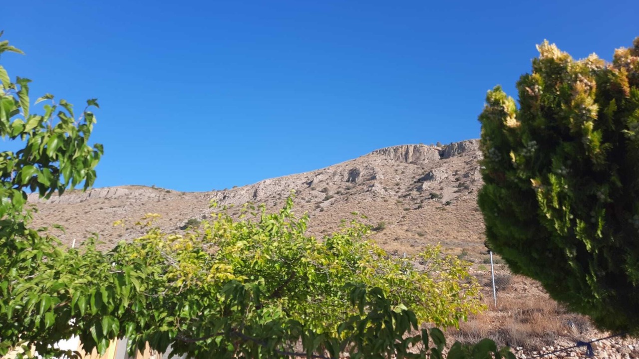 Photo of Others in Hondon de las Nieves
