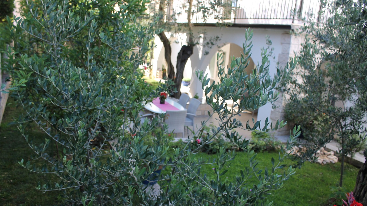 Photo of Outdoor in Bili brig