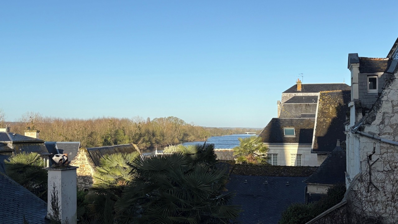 Photo of Others in Chinon
