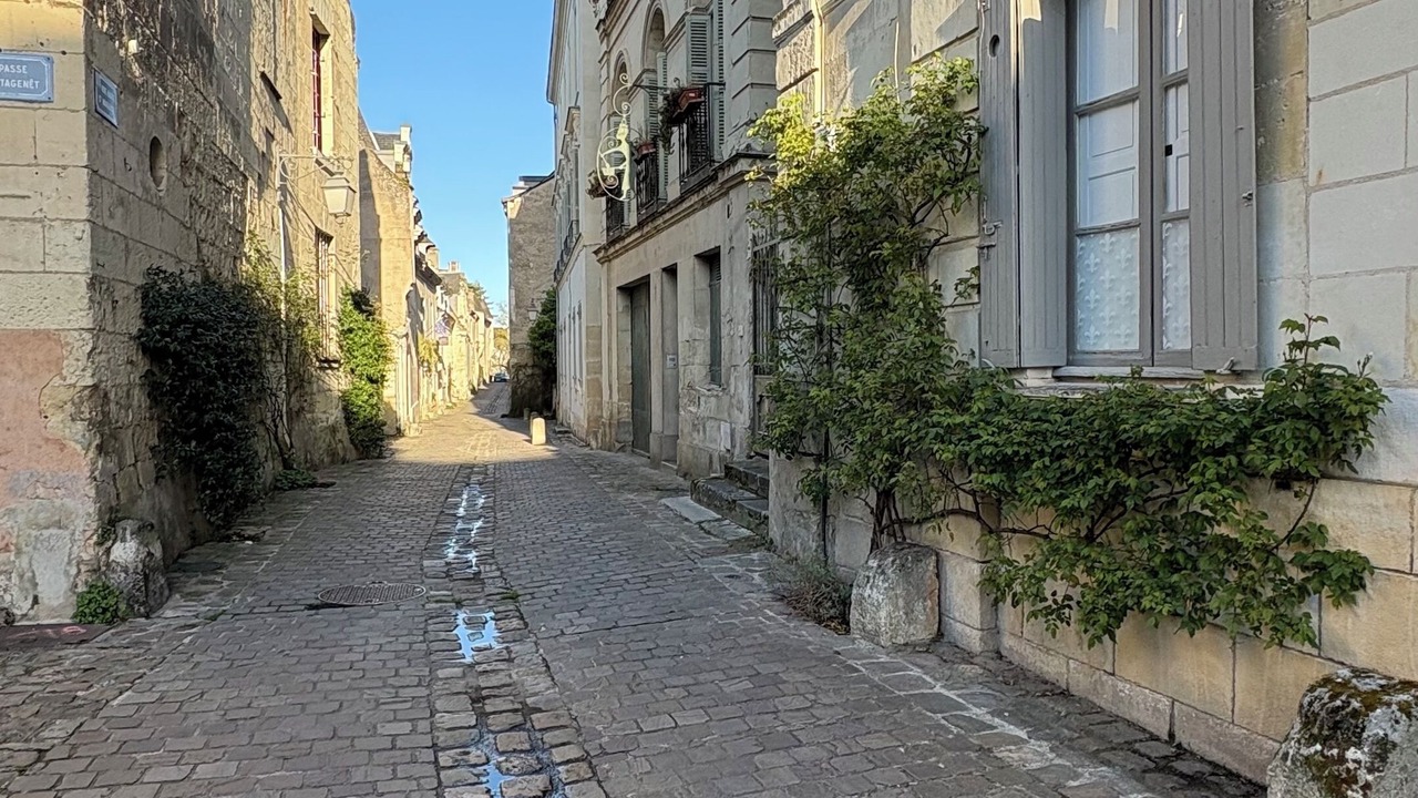 Photo of Others in Chinon