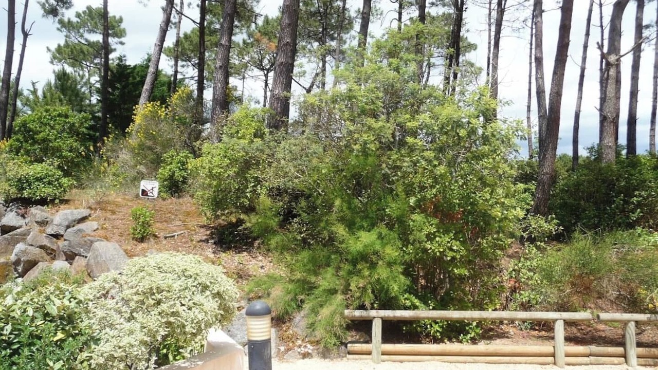 Photo of Outdoor in Saint-Jean-de-Monts