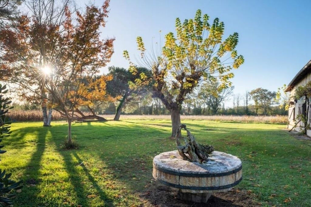 Photo of Outdoor in Lacquy