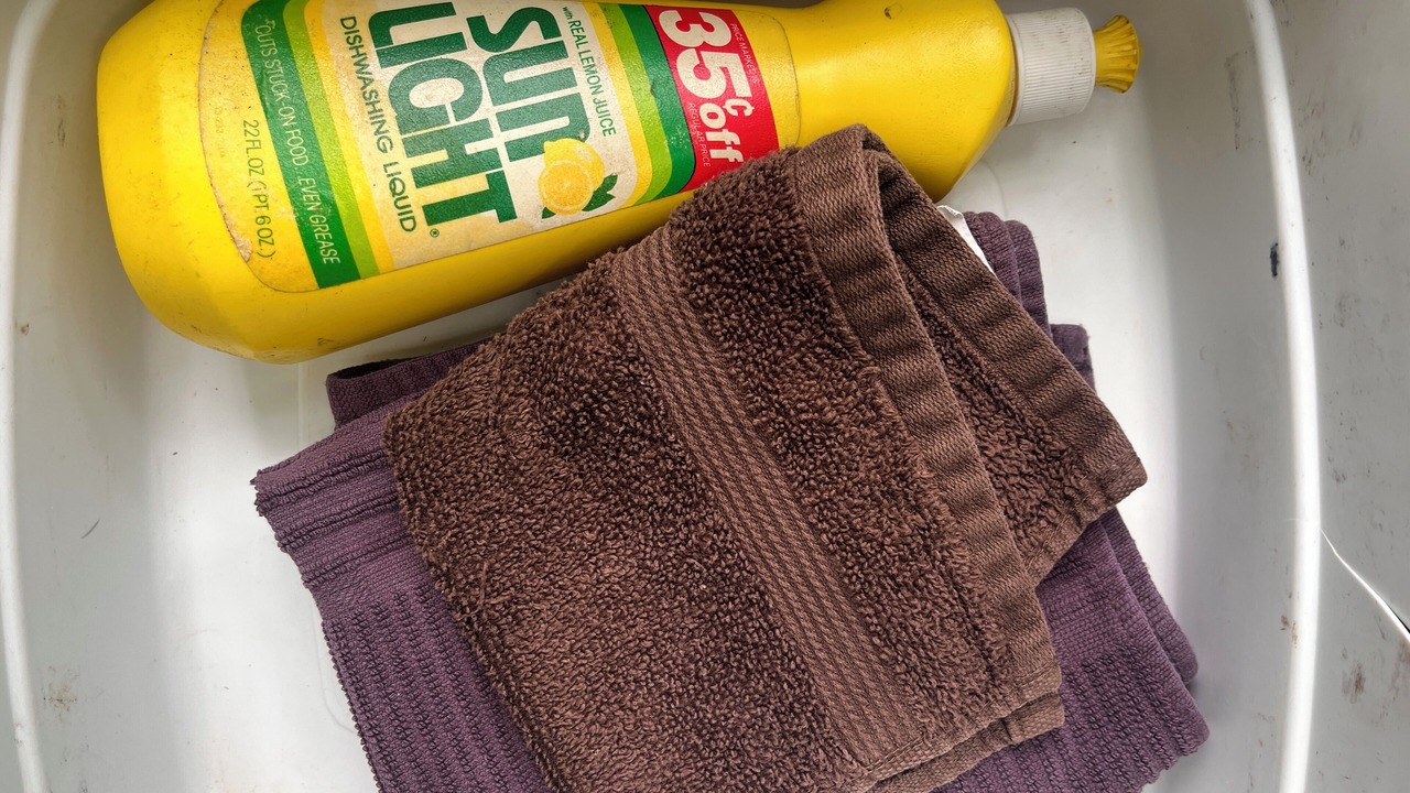 Photo of Others in Kalama