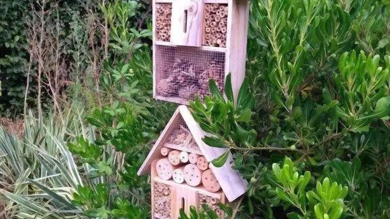 Photo of Outdoor in Avrille