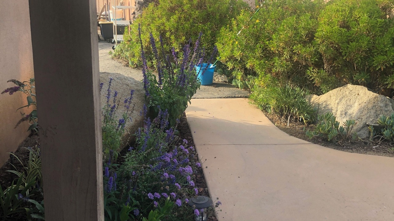 Photo of Outdoor in Escondido