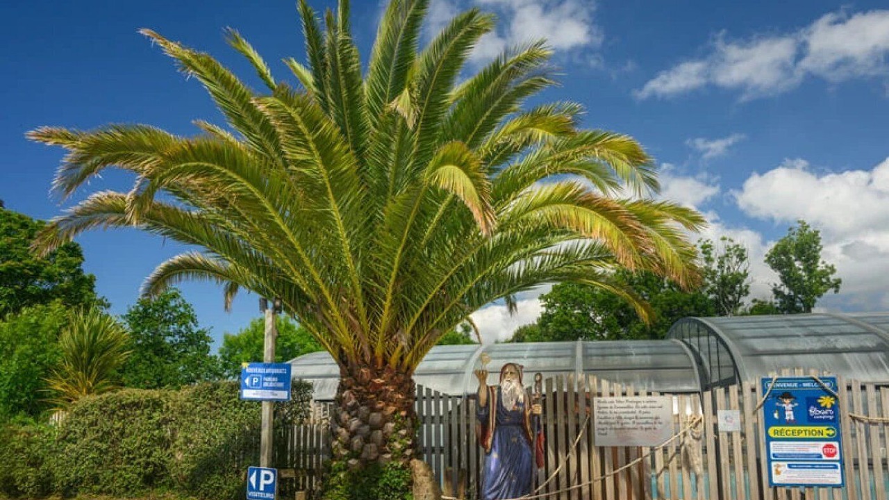 Photo of Others in Clohars-Carnoet