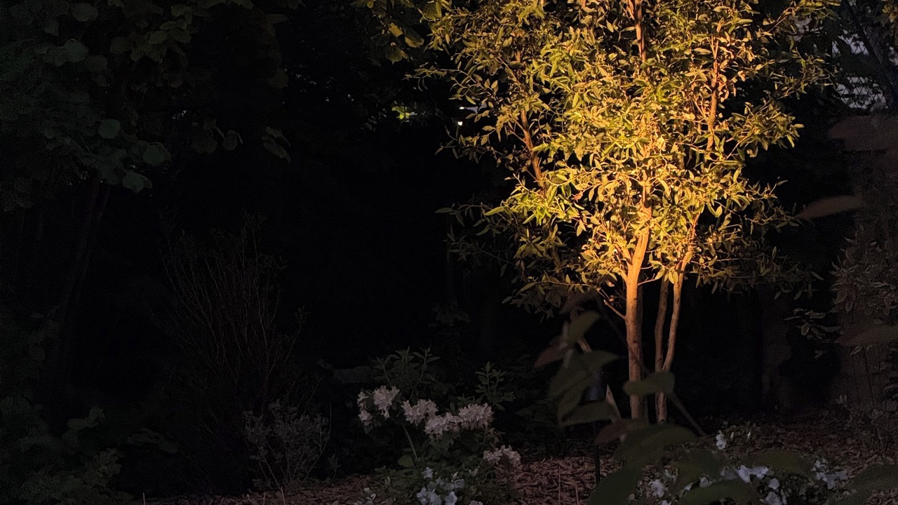 Photo of Outdoor in Le Pecq
