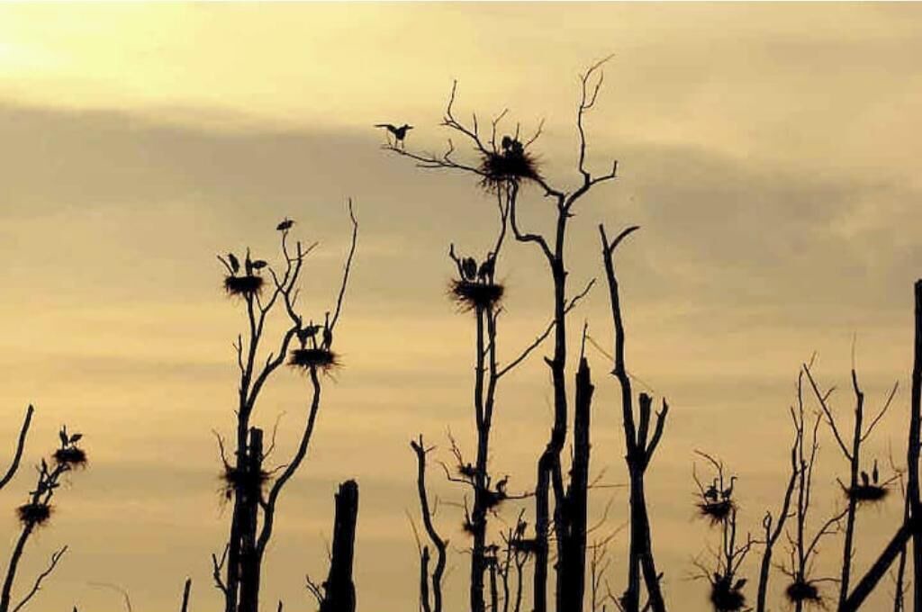 Photo of Others in Fair Haven