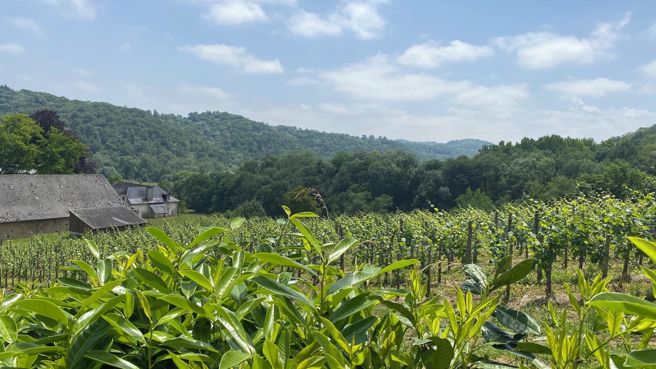 Photo of Others in Jurancon