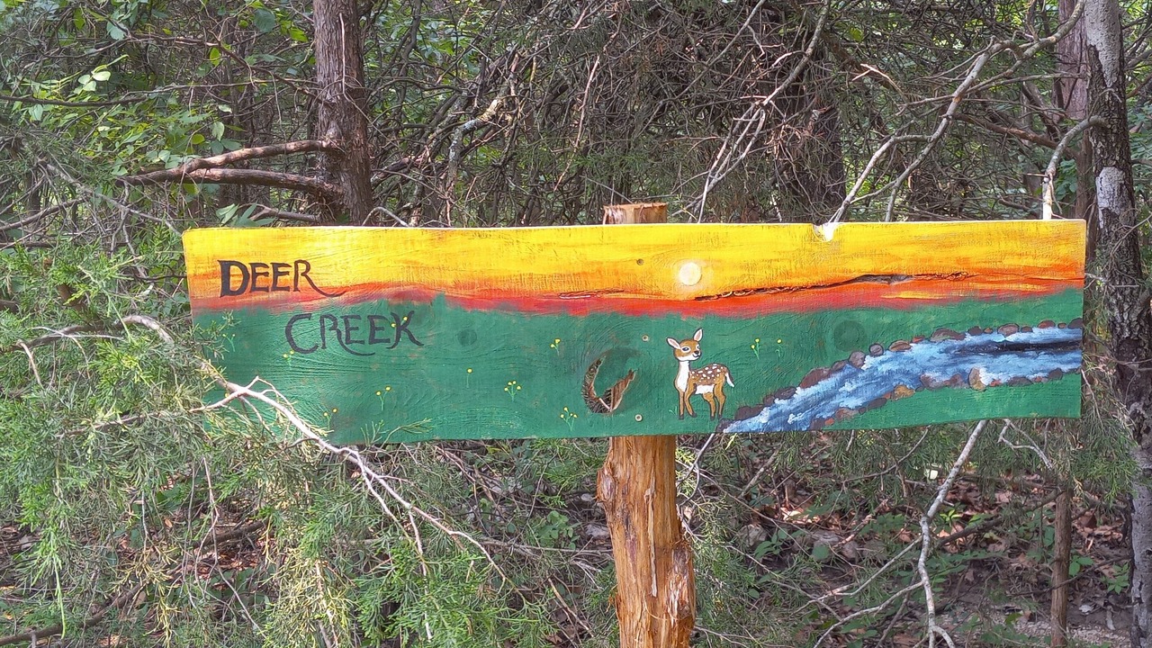 Photo of Others in Elkland