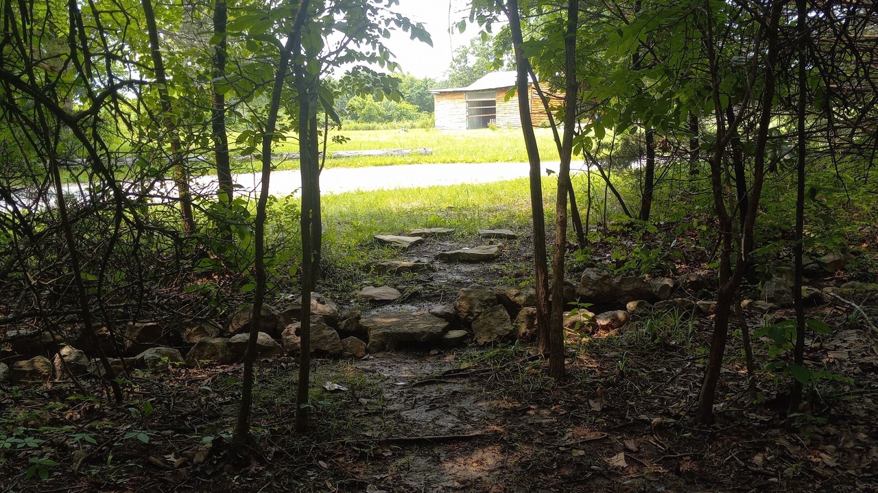 Photo of Outdoor in Elkland