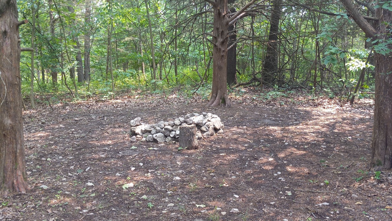 Photo of Others in Elkland