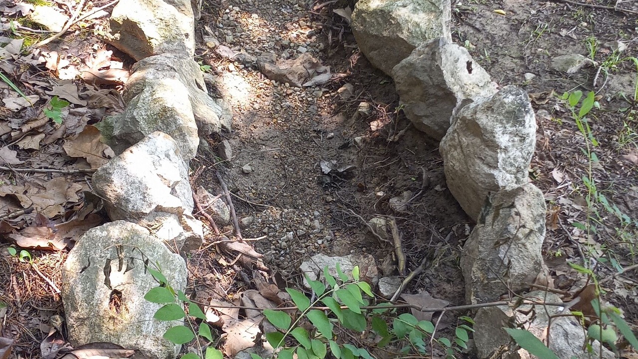 Photo of Others in Elkland