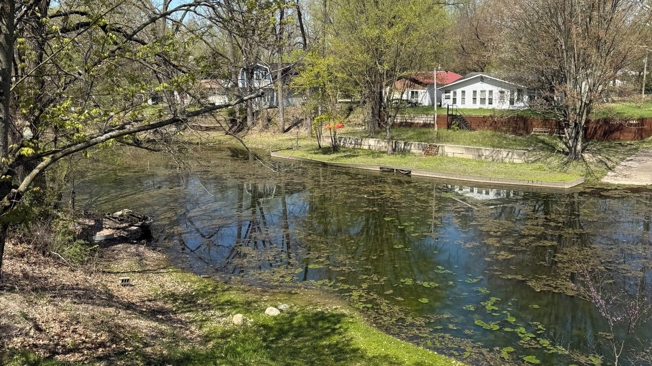 Photo of Others in Buffalo