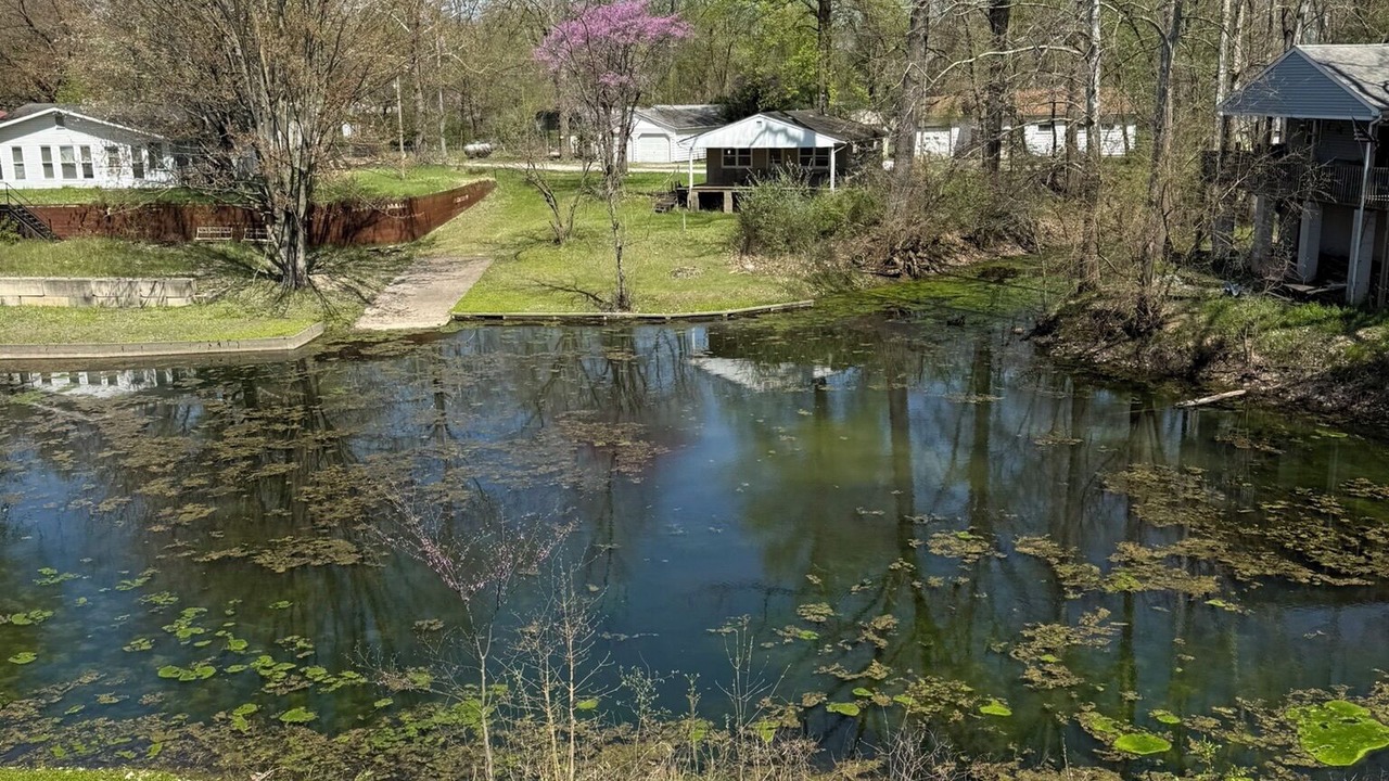 Photo of Others in Buffalo