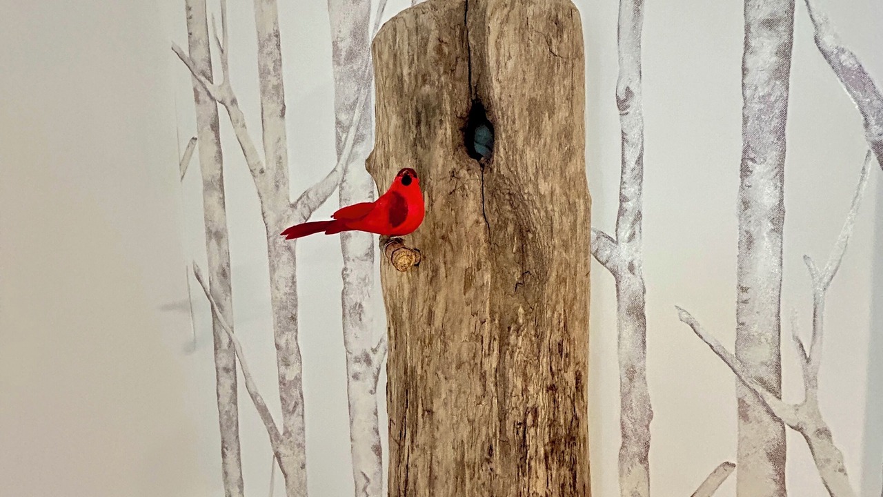 Photo of Others in Fry's Spring