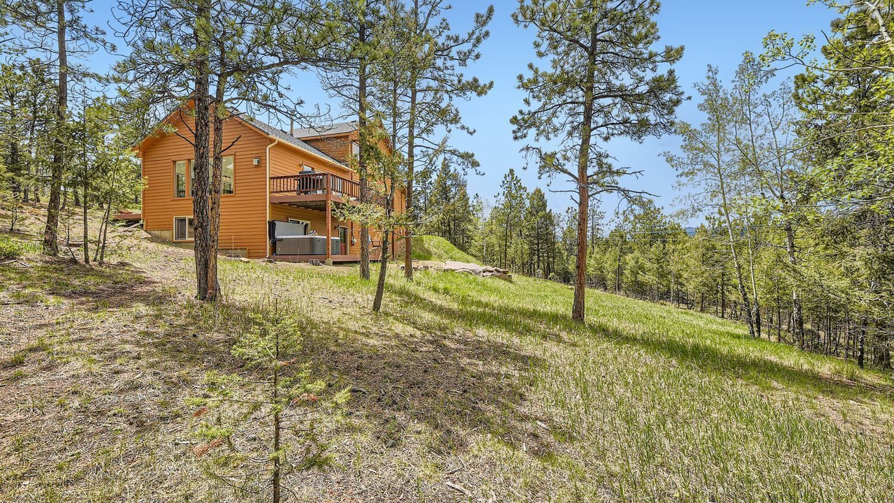 Photo of Outdoor in Pine
