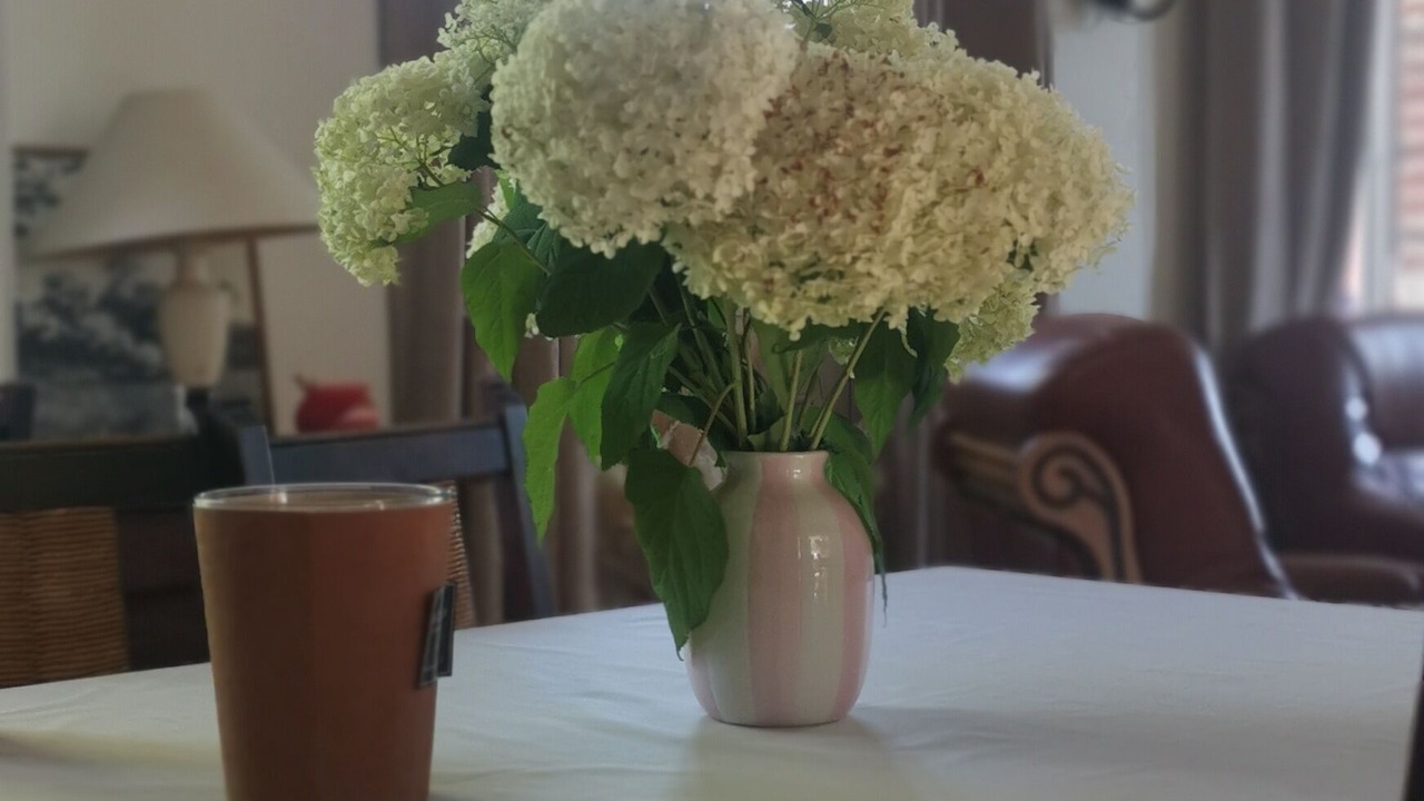 Photo of Others in Coucy-le-Chateau-Auffrique