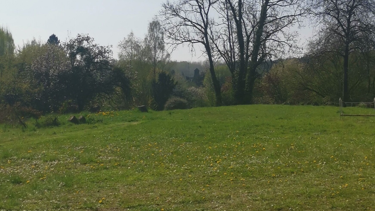 Photo of Others in Coucy-le-Chateau-Auffrique