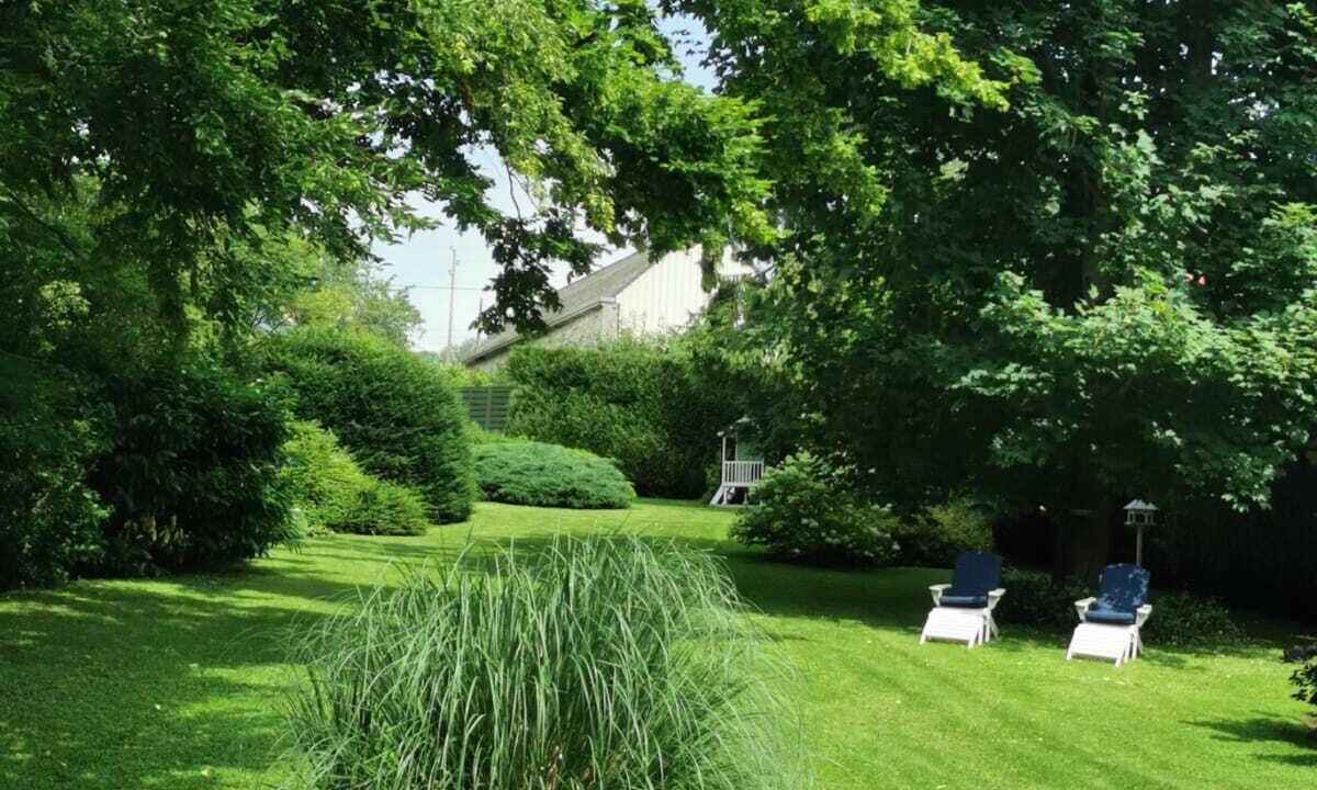 Photo of Outdoor in Mortefontaine