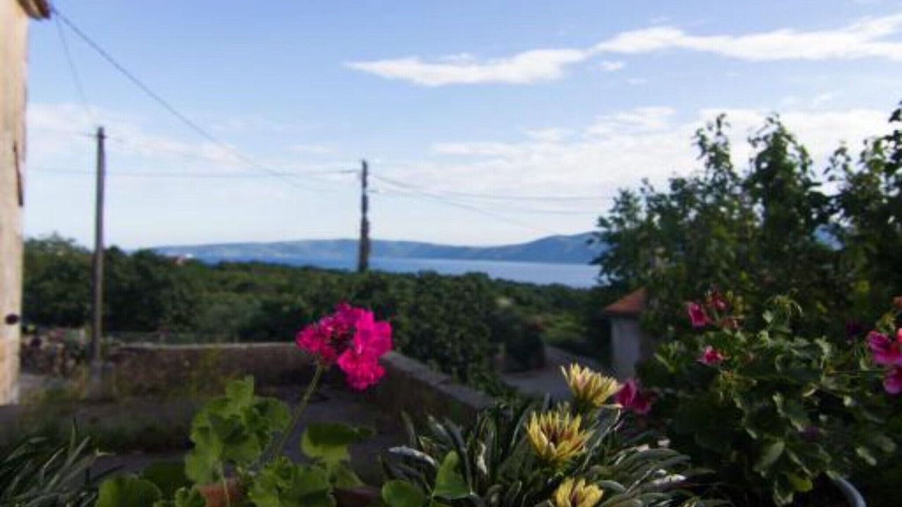 Photo of Outdoor in Brzac