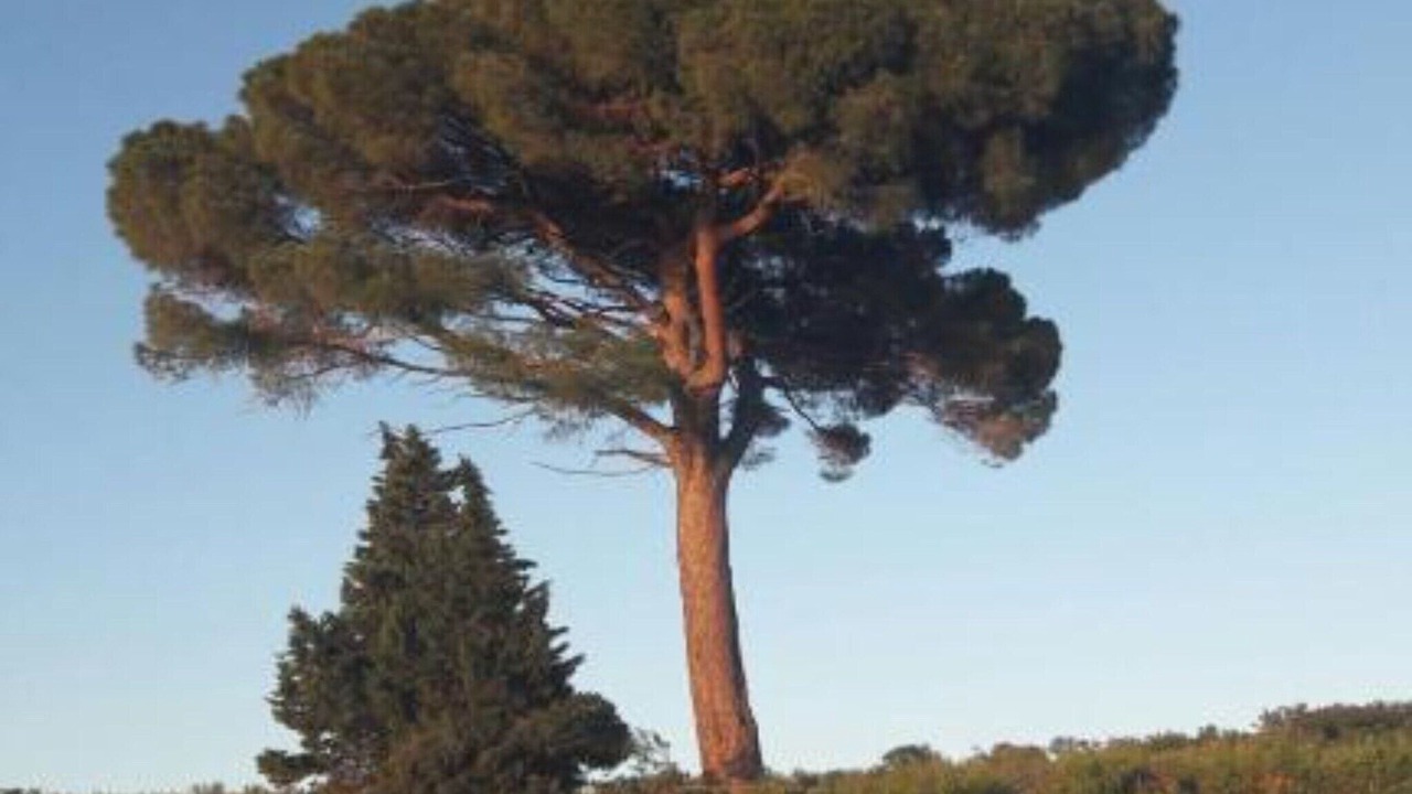 Photo of Outdoor in Brzac