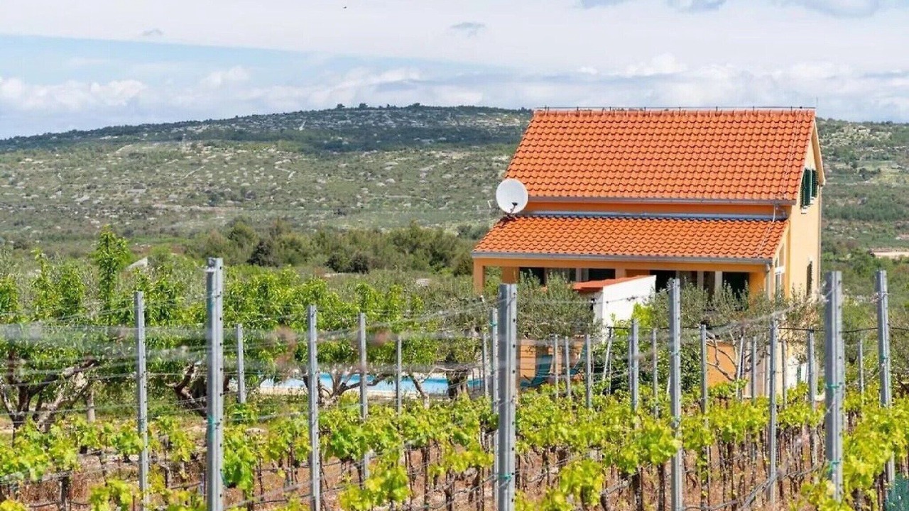 Photo of Outdoor in Dracevica