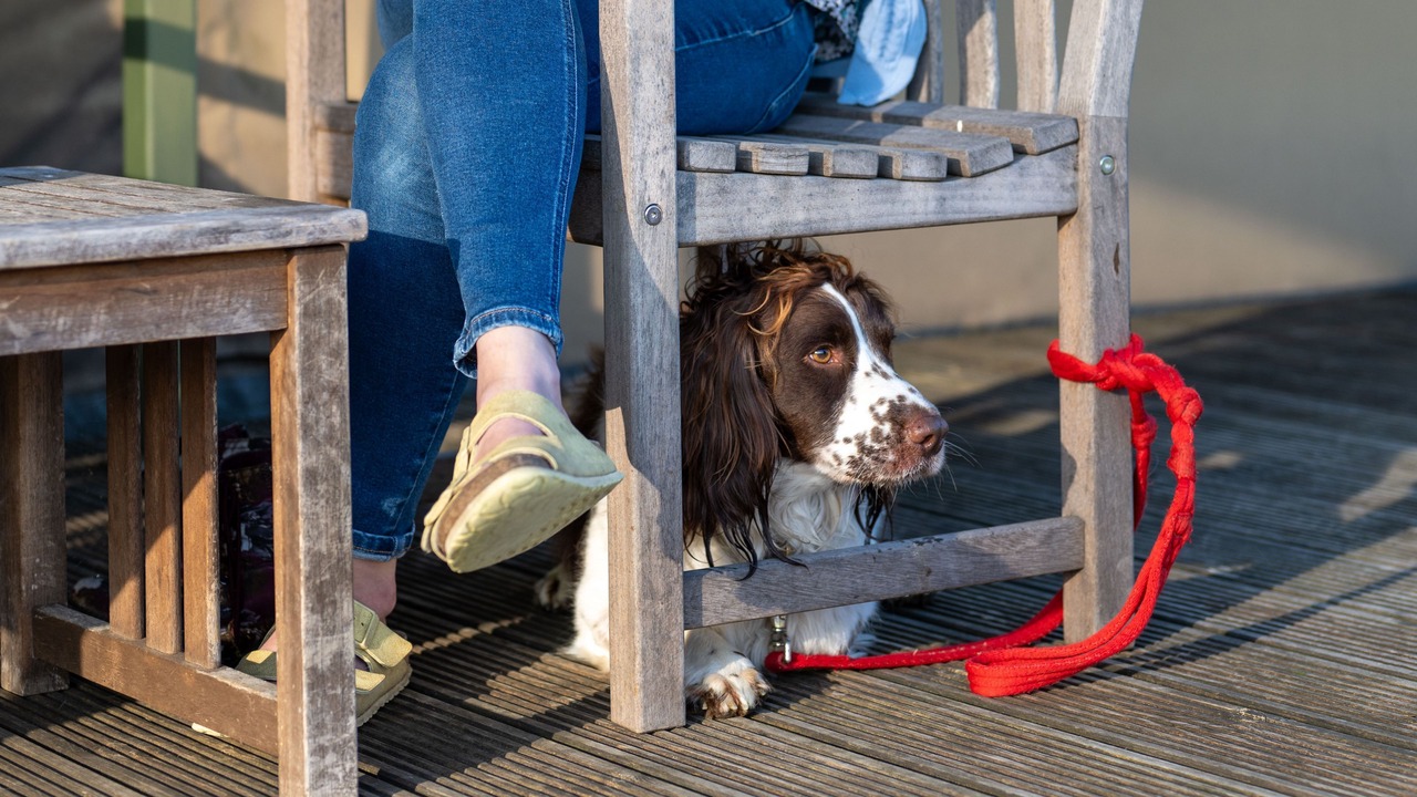 Photo of Others in Exton