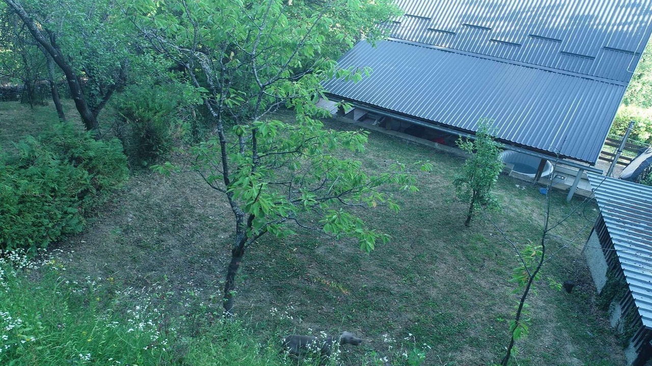 Photo of Others in Breznik Plesivicki