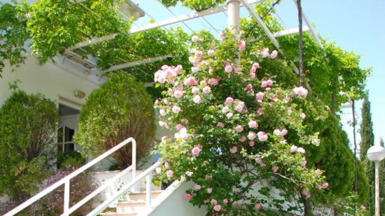 Photo of Outdoor in Mlini