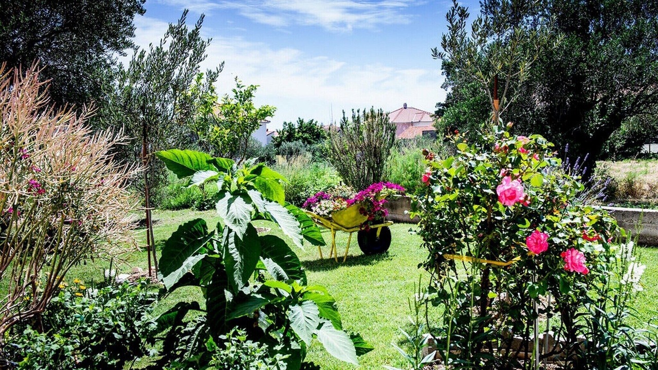 Photo of Outdoor in Kastel Novi